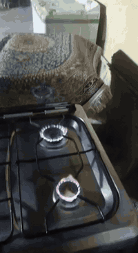 طباخ خمس عيون • شغال • ابوغريب