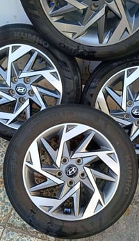 ويل كب • حجم ١٦ • النترا ٢٠٢٤