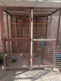 قفص حديد • بغداد الحرية