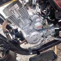 ستوتة حمل • موديل ٢٤ • بعقوبة التحرير