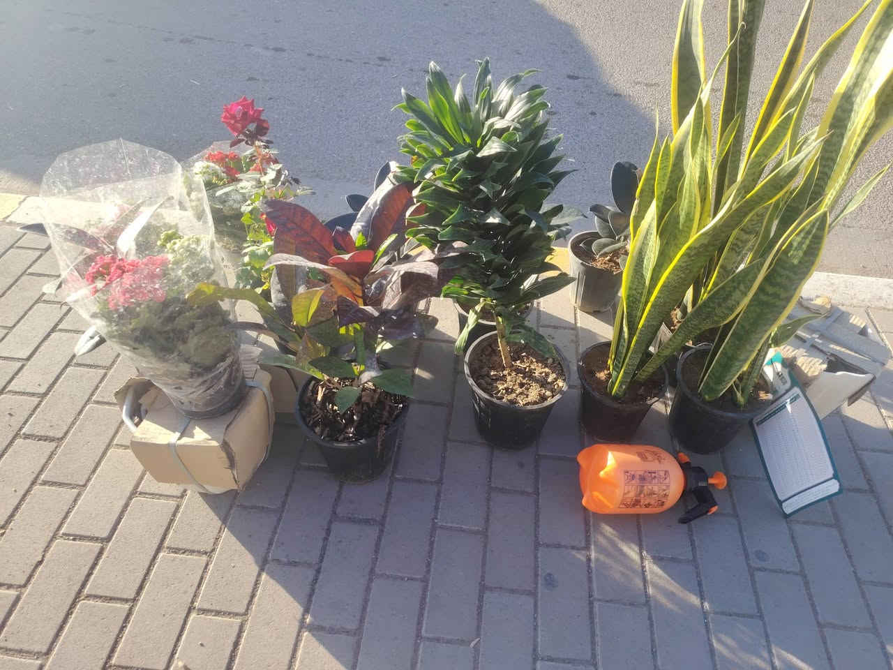 بسم الله الرحمن الرحيم
اللهم صل على محمد وآل محمد
توفر ضلي بي
مطاط جلد نمر فوجير
يوجد خارجي جهنمي متسلق  جوري


**إذا كنت صاحب هذا الإعلان وتريد حذفه لأي سبب، رجاءا أرسل رسالة إلى الدعم الفني**