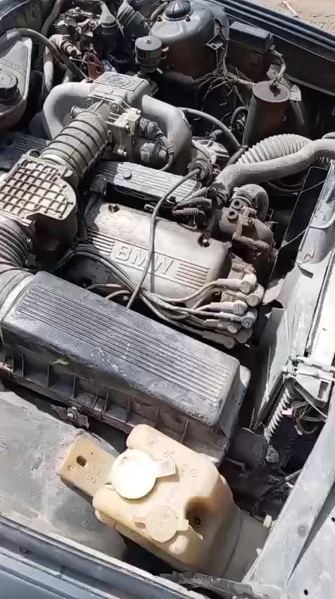 السلام عليكم بي ام للبيع موديل 90 رقم انكليزي بأسمي سنويه لل31 بيع او مروس بجمسي سياره خير من الله كهربائيات كله شغاله ترايك وين ميعجبك تخم تاير جديد  للعنوان كربلاء طويريج السعر 55 هذا رقمي  ***********
