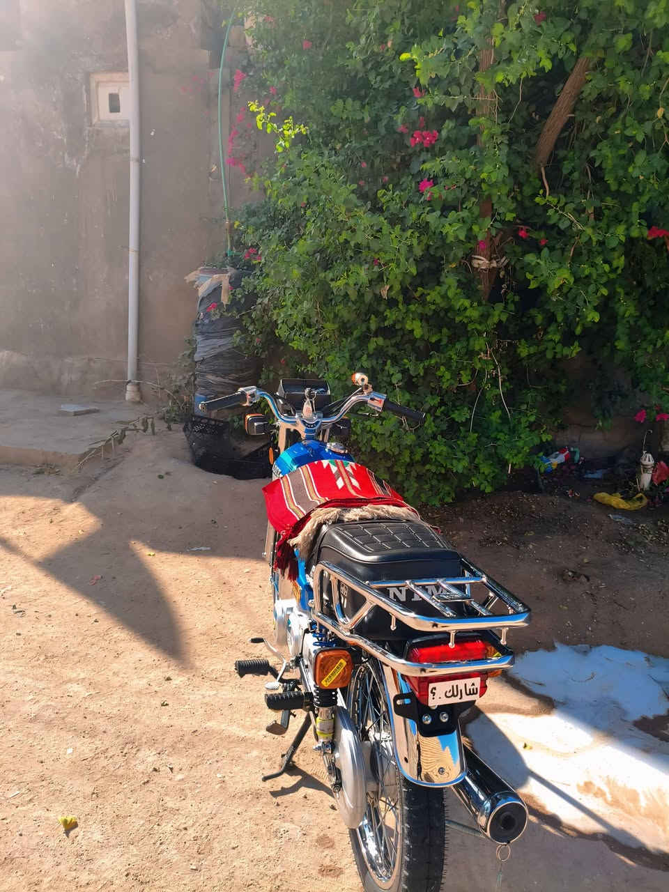 للبيع او مراوس بدايون عضم 
كفاله عامه سعر 850


**إذا كنت صاحب هذا الإعلان وتريد حذفه لأي سبب، رجاءا أرسل رسالة إلى الدعم الفني**