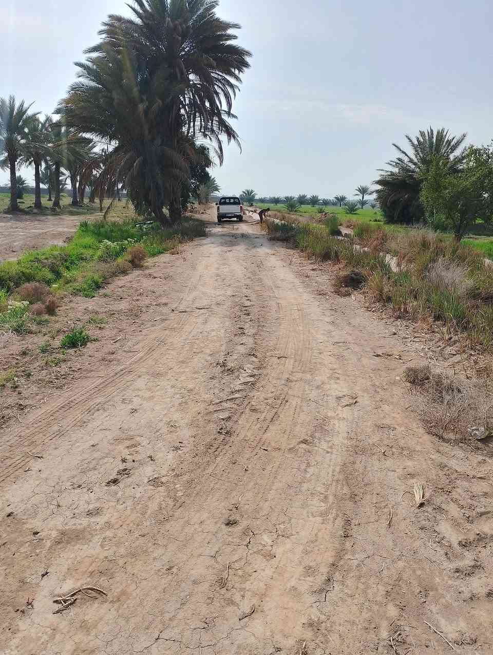 السلام عليكم يتوفر للبيع دونم ارض طابو صرف تحويل ثاني يوم متوفره جميع الخدمات ماء سقي وكهرباء موقعة منطقة الكص قريب جدا على مدرسة سبا الابتدائيه 
يصلح مزرعه ترفيهيه وكذلك للبناء 
***********
