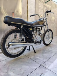 سكنر • اوراق • معمره