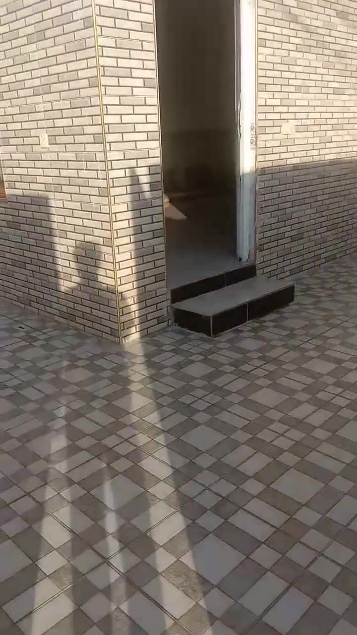 دار للبيع مجمع طيبه قرب امدرسه مسحت ابيت 150طبق ونص اسعر 60
بي مجال ***********
