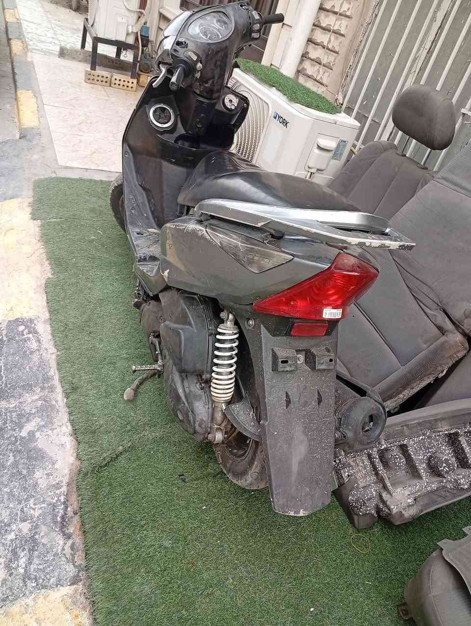 ثعلب للبيع  تفاصيلها مذكوره بل فيديو  دبل الامامي واكف  *********** السعر 275
