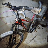 باسكل جبلي • ٧ نمر • نجف/كوفه