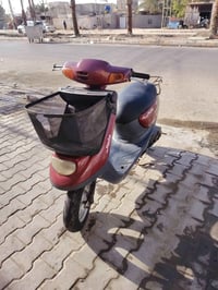 حبايب گلبي دراجه منغولي كله شغاله للبيع السعر 450 الشراي هاذه رقمي وان...