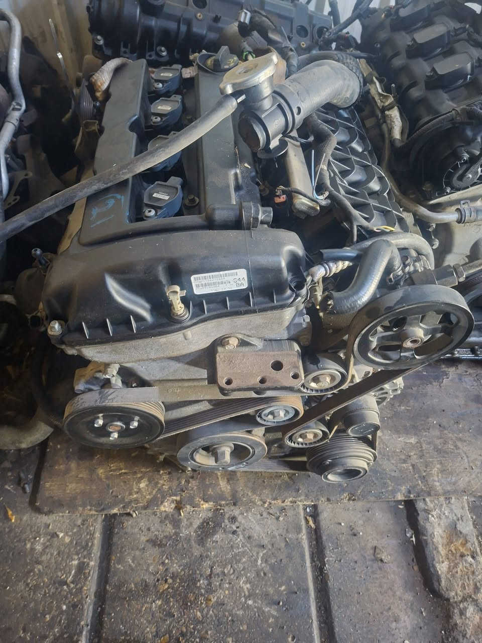 سلام عليكم محرك.  كرفان جورني   3600. طابوكه  سعر 750 دولار والكامل 900 دولار محرك 3800. 500 دولار كير 3600  350 دولار درام شفتات. دوج كرفان   3600 زوج 160 مع العمل   نوزلات مع المسطره 75 الف وارد لوك سلف 50 الف واتر بم مال وارد لوك 50 الف جويتر 25 الف. يله صعدو الكمرك اني نزلتلك السعار ودلل  من خدمات رضاوي الربيعي  شارع الضلال قرب تقاطع معارض النهضه   ***********
