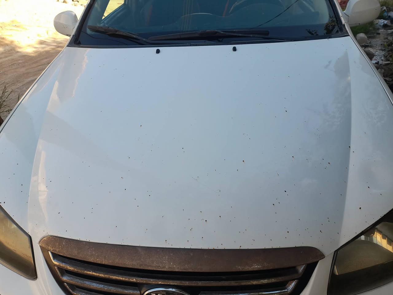 سيراتو 2007 محرك 1600 وارد خليجي رقم بغداد دولي هزه جديده سياره جاهزه كير محرك حداديه 
بدون حادث مكفوله من الحادث 
السعر 79
العنوان كربلاء 
رقم الهاتف ***********@#
