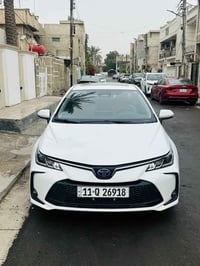 كورلا خليجية • ٢٠٢٤ • حي الاعلام