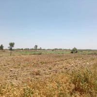 قريت البوفراس • دونم ٢٥٠٠م • زراعي