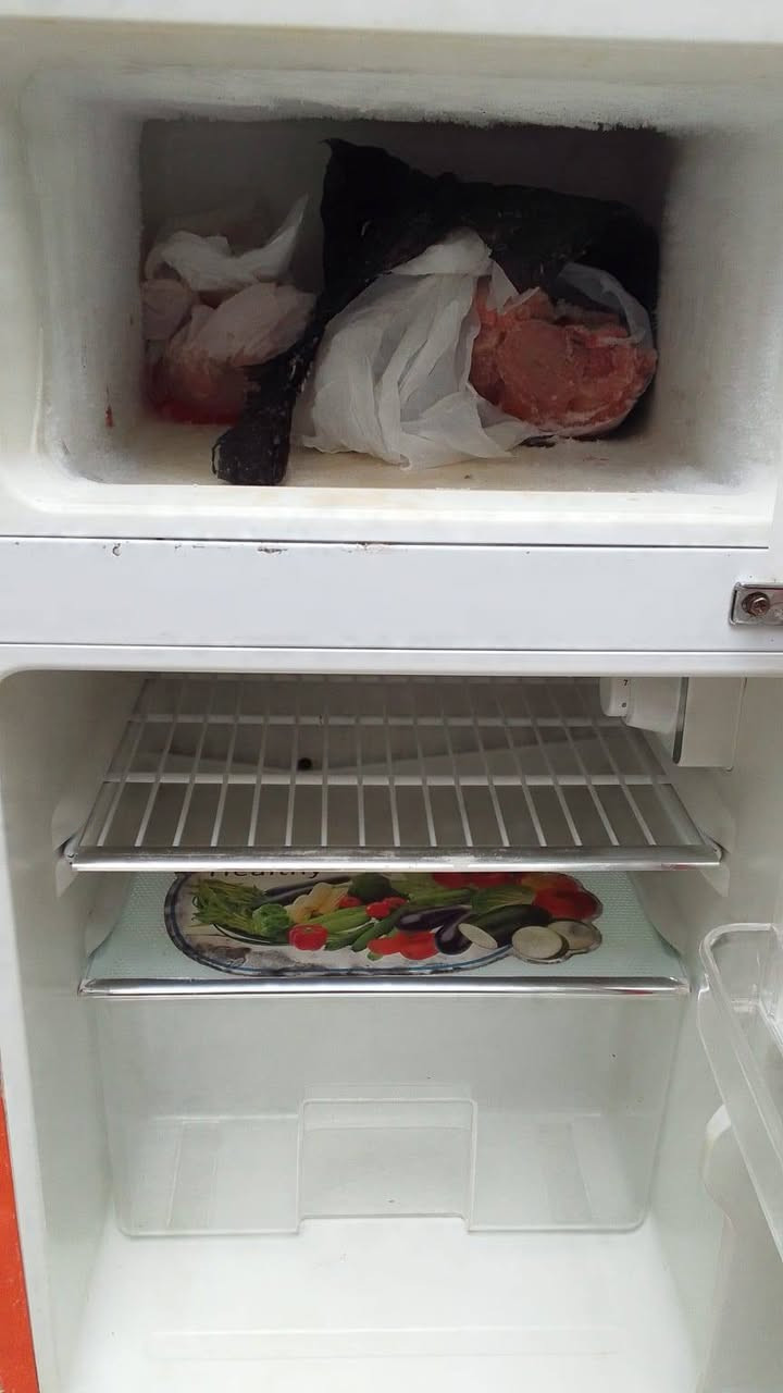 ثلاجه البيع   سعر خاص  مستعجله ع بيعتها


**إذا كنت صاحب هذا الإعلان وتريد حذفه لأي سبب، رجاءا أرسل رسالة إلى الدعم الفني**