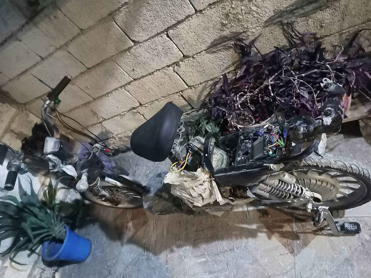 السلام عليكم  باسكل شحن  تفصيخ رخيص  الرقم ***********  المكان ديالى بعقوبة  رخيص و الله❤️❤️🥰🥰
