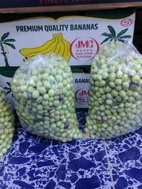 زيتون خستاوي • درجة أولى • راوه الجديده