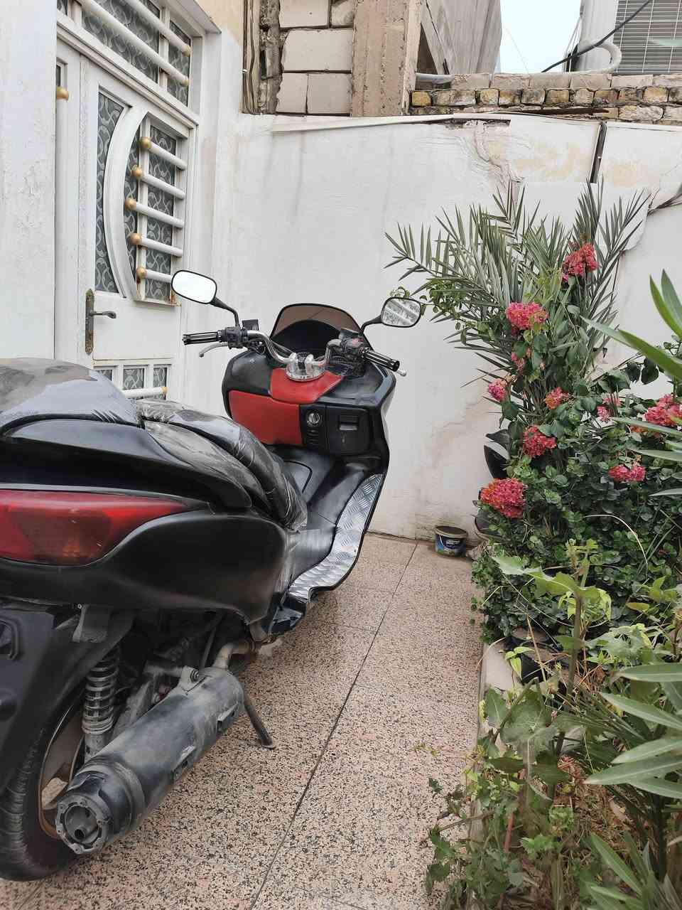 السلام عليكم
فورزا 08 محرك مامفتوح كفراته نضافه 80% مصبوغه لجمالية بعد بيه جاملغ الكدام مكسور شويه ماشادة وبيه كفرات بعد ماشادهن كير ملغي محرك ربع معدل 120 سعر 575 وبيه مجال بسيط لتواصل علق واراسلك او خاص مكان نجف


**إذا كنت صاحب هذا الإعلان وتريد حذفه لأي سبب، رجاءا أرسل رسالة إلى الدعم الفني**