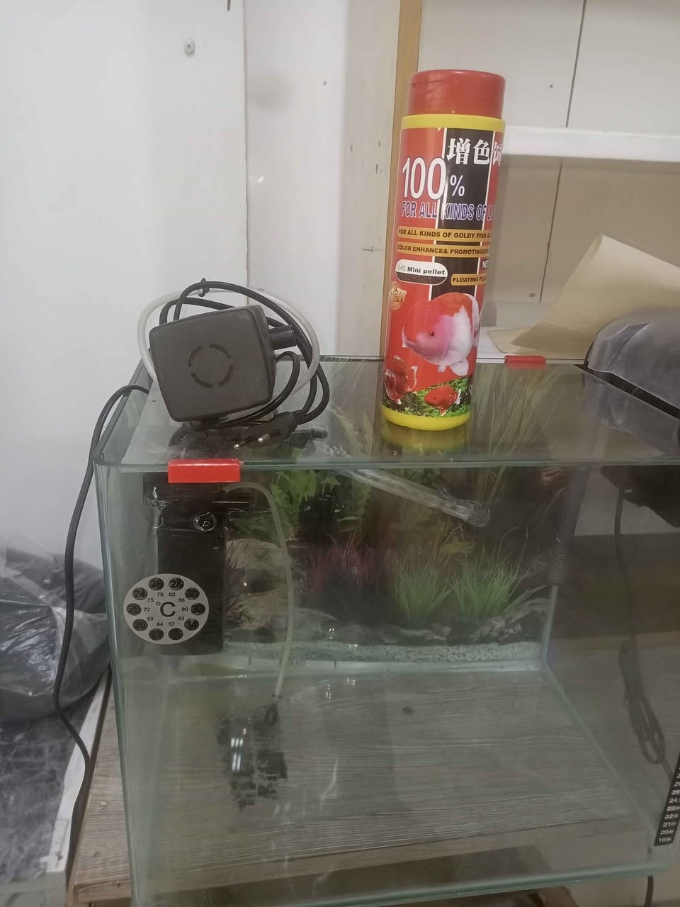 حوز مال سمج مع ثلاثة اكسجين و اكسجين شلال سعر 30 الف مع توصيل دهوك, العراق


**إذا كنت صاحب هذا الإعلان وتريد حذفه لأي سبب، رجاءا أرسل رسالة إلى الدعم الفني**