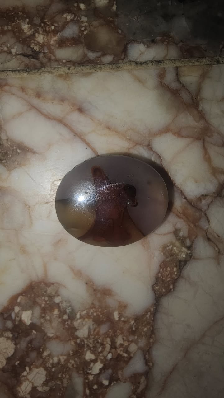 ابيع كلهن شلع بس ركز بيهن


**إذا كنت صاحب هذا الإعلان وتريد حذفه لأي سبب، رجاءا أرسل رسالة إلى الدعم الفني**