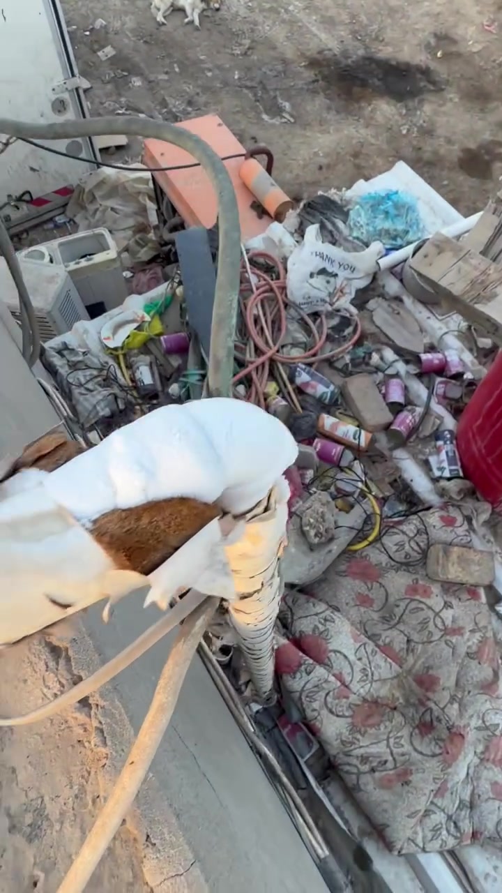 سلام عليكم جهاز ٥ طن شغال بحاله جيده جدا
تجميد ***********

