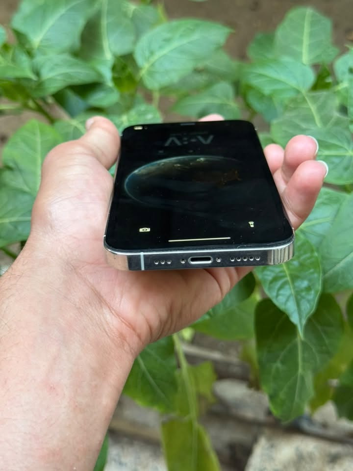 ايفون 12 برو (فقط)
ذاكره 💾128
بطاريه 🔋 100 مبدله قطارة
مبدل شاشه + السيمكرت مايشتغل
النظافة كدام العين
السعر 190 وبي مجال والشراي يتفضل خاص


**إذا كنت صاحب هذا الإعلان وتريد حذفه لأي سبب، رجاءا أرسل رسالة إلى الدعم الفني**
