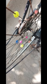 باسكل بناتي • حجم ٢٦ • قضاء نصر