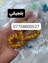 حجل طيرك وبسعار تنافسيه وشغل مضمون 👇❤️ حجول  وتوصيل لكل العراق والخبره...