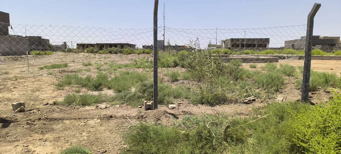 سلام عليكم قطعه البيع حي المنصور الفلكه مال يمام الحمزه عليه السلام مساحته 400متر بصف بيت العياشي تبعد عن شارع العام 200متر مداور بسم المشتري لاستفسار عله رقم ***********بي واساب
