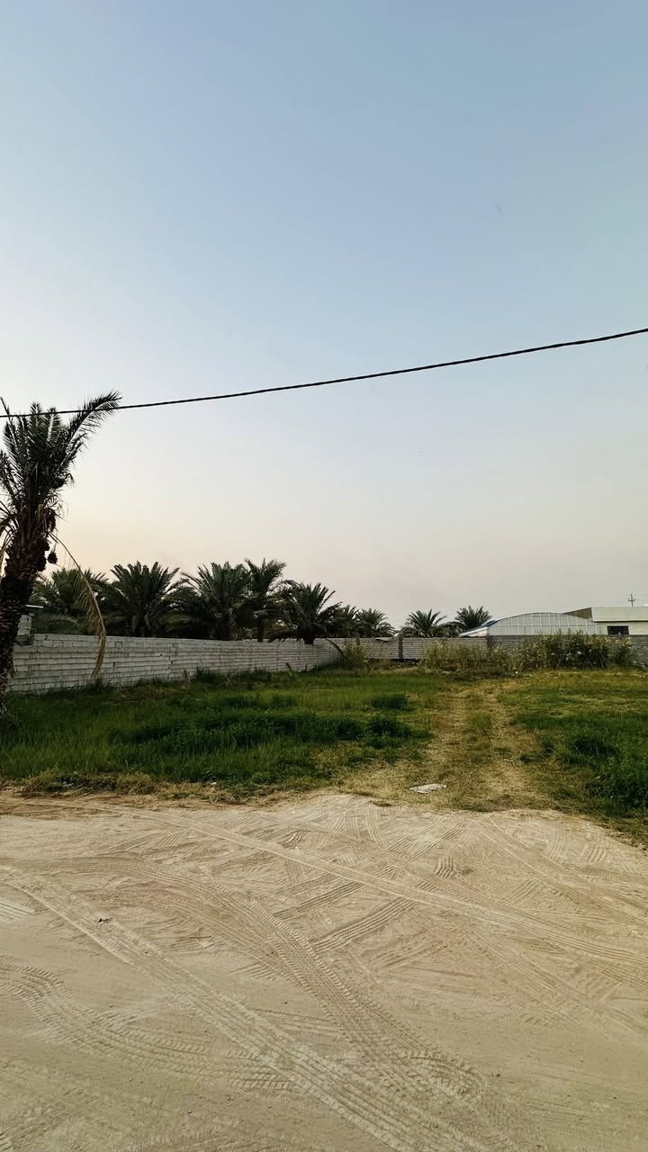 خلف جامعة العميد - خلف البزل 📍
ربع دونم خلف جامعة العميد 625 متر وجه 16 متر

السعر 125 مليون

بيع او مراوس مع سيارة حديثه

للأستفسار 

***********
***********
