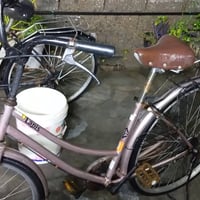 بايسكلات بناتي • سعر موحد