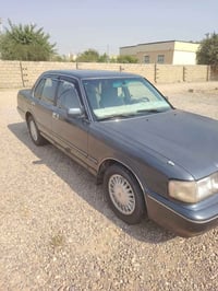 أرنب • تواير جديده • سنوية ٢٠٢٧