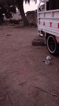 ستوته لبيع موديل ١٣ اوراق اصولي ستوته ما عوزها ايشي شراي يتصل او يراسل...