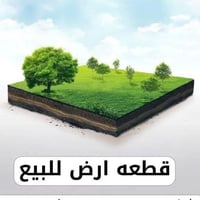 قطعة للبيع • ٢٠٠م • نهر ضامن مقاطعة ٣٦