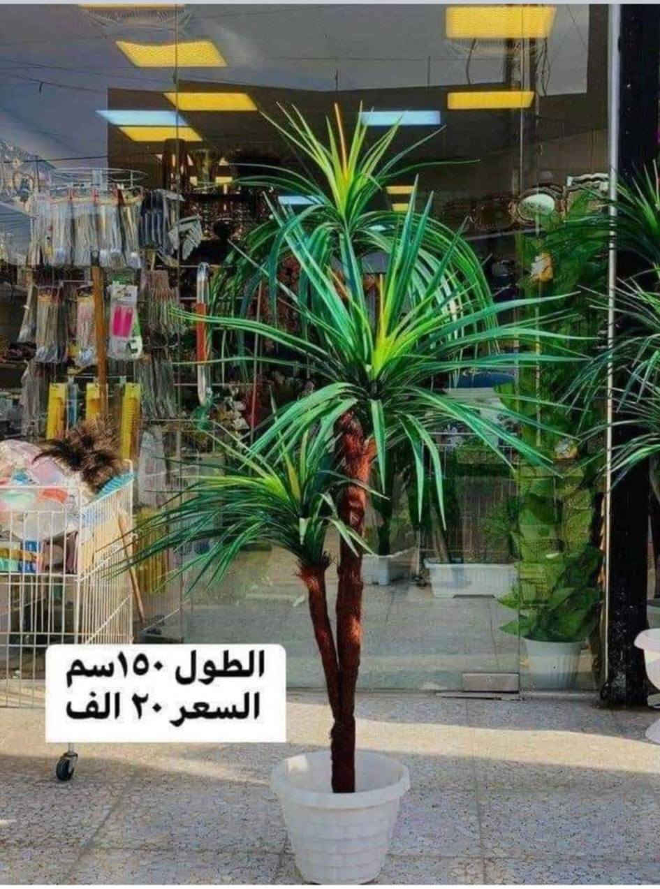 بسم الله توكلنا على الله
دلع بيتك بس ويانه وبشرط
 احلى من الصورة
توجد خدمة توصيل لجميع المحافظات


**إذا كنت صاحب هذا الإعلان وتريد حذفه لأي سبب، رجاءا أرسل رسالة إلى الدعم الفني**