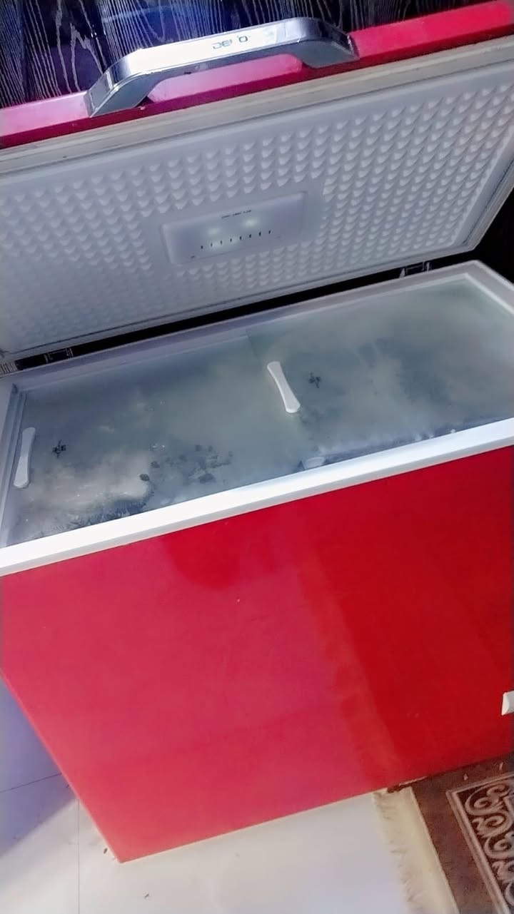 مجمده للبيع استخدام قليل  تخبل وشرط الفحص    سبب البيع مكان ماكو  سعرهه ٢٠٠ قفل


**إذا كنت صاحب هذا الإعلان وتريد حذفه لأي سبب، رجاءا أرسل رسالة إلى الدعم الفني**