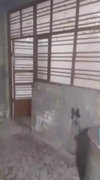 دار للبيع زراعي (خلفي) مساحة 150م طابقين الطابق الاول يحتوي على استقبا...