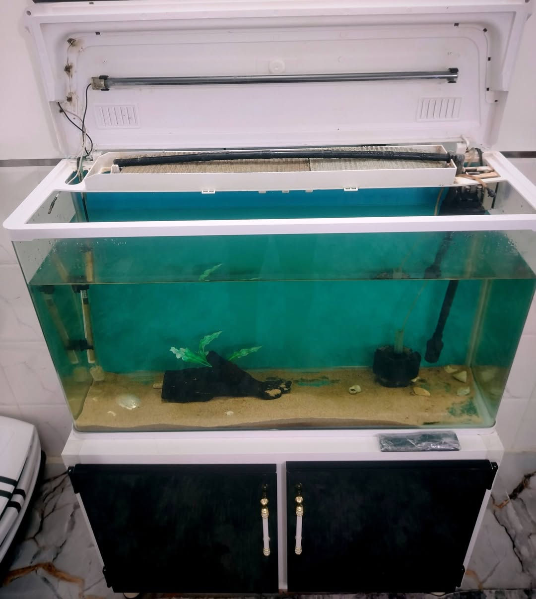 سلام عليكم ورحمة الله
حوض جاهز مو عمل قياس متر ماركه معروفه جاهز من كلشي وحته الشاشه مالته شغاله
فلتر سقفي
فلتر بايلوجي +ماطور اوكسجين
هيتر
شمعه اناره احترافيه
منضفة اوساخ
وشجره زينه
سعر ٢٨٠ الف
واتساب ***********
