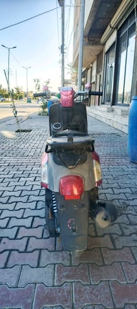 بوليس • نظيفه • ٤ اشهر