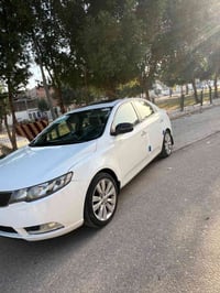 فول مواصفات • ٢٠١٣ • رقم أربيل