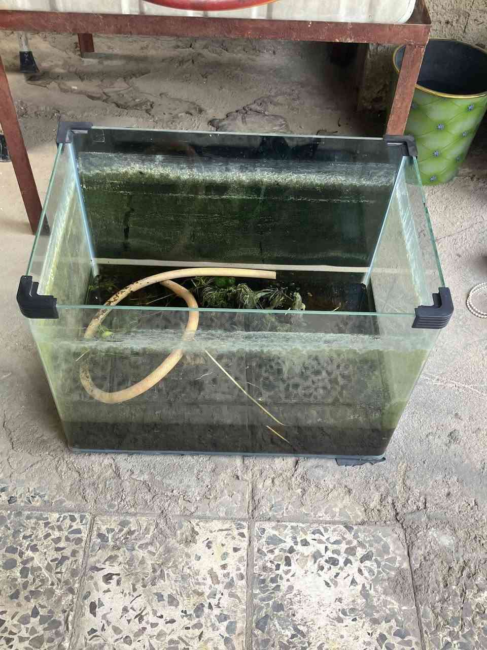 اغراض بيت للبيع قيم و اخذ (تلفزيون 400)(قفص85)(فرن50)البقية قيم و اخذ


**إذا كنت صاحب هذا الإعلان وتريد حذفه لأي سبب، رجاءا أرسل رسالة إلى الدعم الفني**