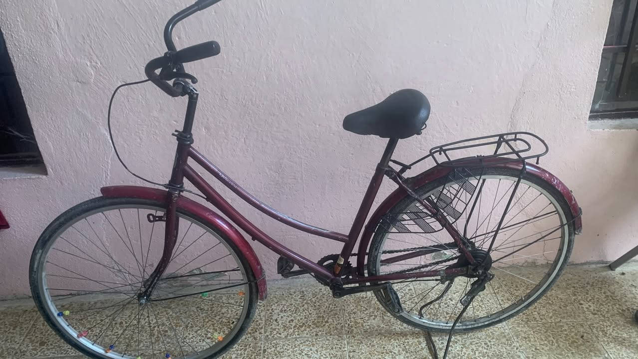 بايسكل عبد الحليم مال باله فول نضافه كلو شغال شرط أي عطل مابي مكينه جديده شرط تاخذو تنسي التواصل خاص أو على الرقم ***********بي واتساب
