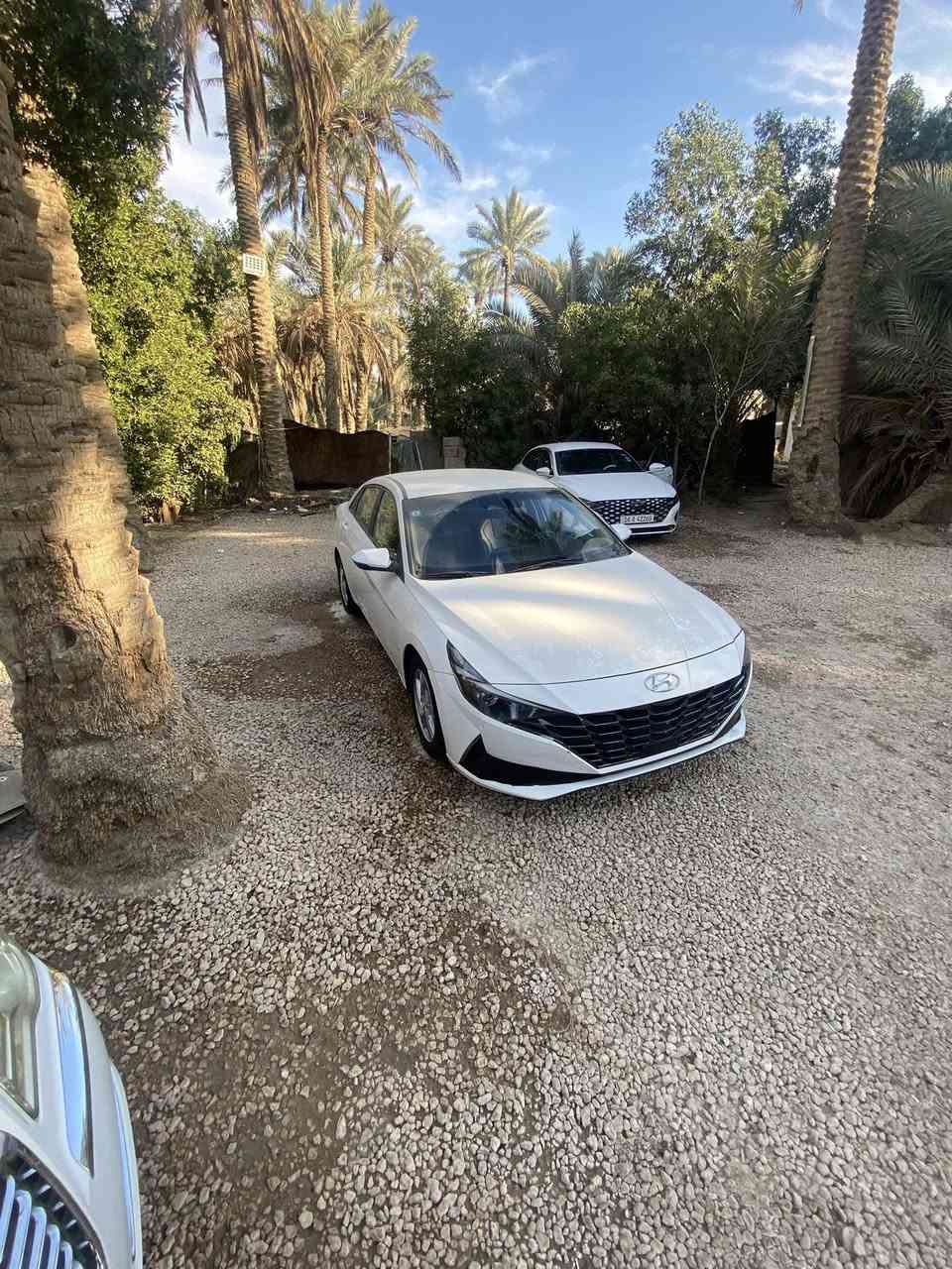 للبيع فقط أفانتي موديل 2021 وارد كوري رقم بغداد الماني مداور ثاني يوم مكينه 1600الحديثه ماشيه 77الف  جاهزه كير مكينه حداديه تايرات باتري ربع متذب عليه حادثه صبغ چاملغين اماميات وبنيد وشويه صبغ باب السايق جوه المرايه ايرباك دركه فقط فول موصفات من عده الفتحه والشاشه المواصفات بصمه تشغيل +أبواب تحكم استيرن تتفه بالكشنات تتفه بالاستيرن قفل سرعه تحديد مسار قياده ذاتيه كشنات جلد بك لايت لد +امامي تشغيل عن بعد كأمره خلفيه حساس خلفي أشاير بالمري مري شفط مكان السياره الديوانيه السعر 140وبيه مجال بسيط الشراي يتصل الرقم *********** غير متواجد عله الانترنيت السوك كلشي بي المايعجبه المنشور يعبره بكلمه طيبه
