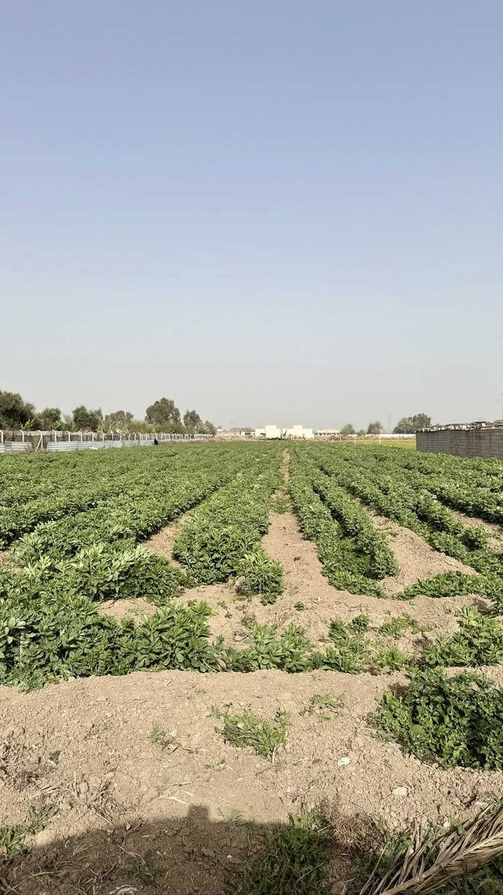 السلام عليكم 2 دونم للبيع على شارعين كل الخدمات متوفره البيع حسب الطلب 
***********
