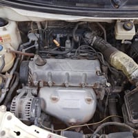 شيري فلاوين • ٢٠١٤ • كوفه علوه فحل