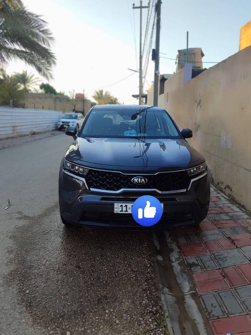 السلام عليكم
سياره كيا سورنتو امريكي موديل 2021 الشكل الجديد
رقم السياره بغداد  ب أسمي   محرك 2400Gdi
4سلندر 
ماشية 120km
اشاير بل مري 
تحكم استيرن جهتين 
سبعه راكب 
رادار امامي 
كشنات مخمل
توقف ذاتي +تحديد مسار 
ويل كب حجم 19 
تشغيل بصمه
قطعتين  تبريد ثلج 
كامره خلفيه 
بيه حادث باب السايق وخلف السايق فقط 
ملاحظه البچم كبس 
ايرباكات سليمه 
السنويه لغايه 2028
السياره خير من الله ما عوزه شيء 
مكان السياره كربلاء 
للبيع او مراوس 
السعر 198 
رقم صاحب السياره: ***********
