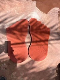 يوجد تنضيف حدائق وزرع الثيل الورد وأشجار الحمضيات ديكور  07727570162