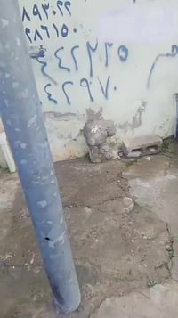 فرع منكوبه • ٣ غرف • يفرغ ثلاثاء