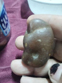 حجر عقيق • رأس طائر • نادر