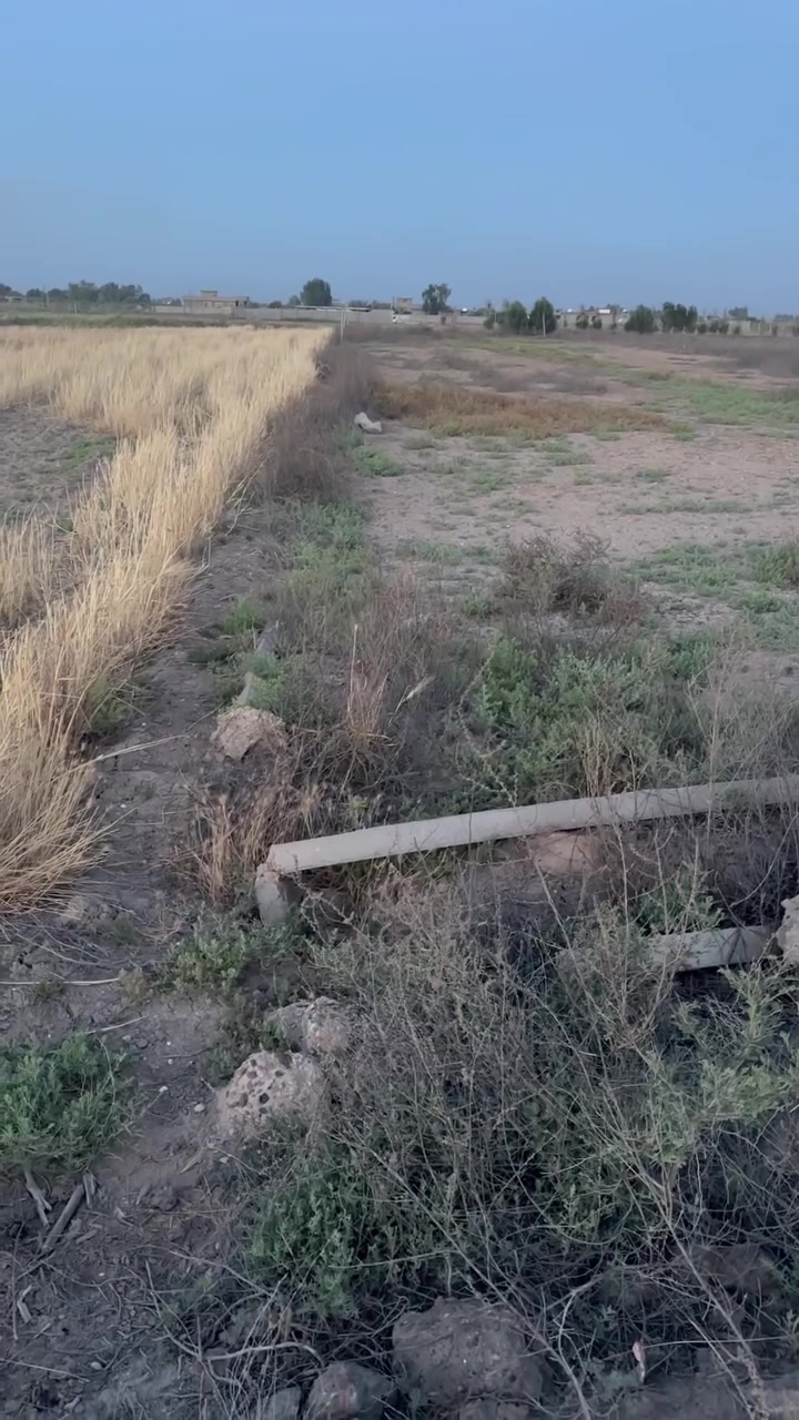 السلام عليكم يوجد دونم للبيع طابو على طابو الكاظمية  تحويل وفتح بيان ثاني يوم في طابو الكاظمية ارض حلوه ومخدومه ماء اساله ماء سقي كهرباء خط سحب سعر الدونم 67 وبي مجال العنوان بغداد التاجي سبع البور الاستفسار الاتصال على هذا الرقم 
***********

