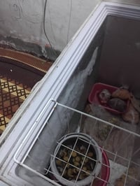 مجمدة وسط • شغالة • للبيع
